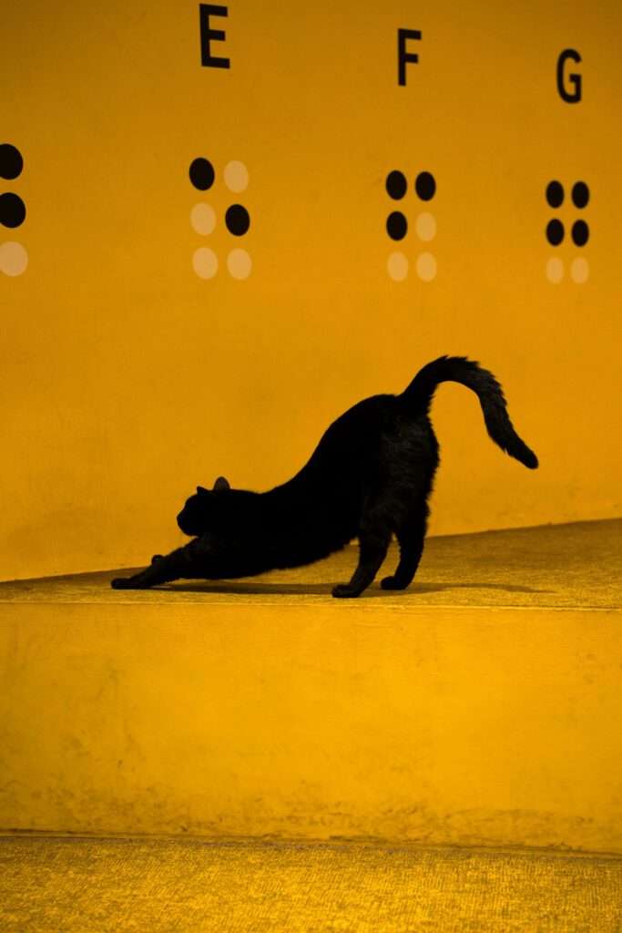 Hypnose pour se relaxer